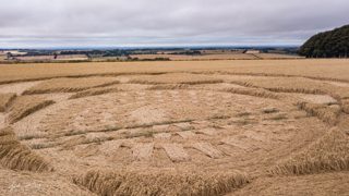 ground of Hackpen Hill from ccc