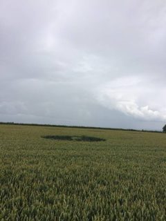 ground of Hackpen Hill from ccc