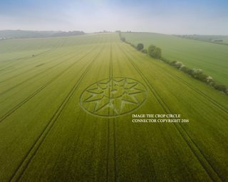 aerial of Willoughboy Hedge