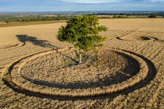 aerial of Potterne