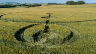 ground of Yarnbury Castle from ccc