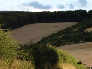 ground of Westwoods from ccc