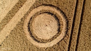 ground of Gurston Ashes from ccc