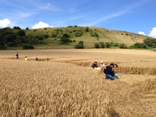 ground of Cley Hill from ccc