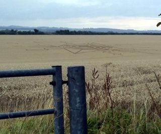 ground of Gussage St Andrews from ccc