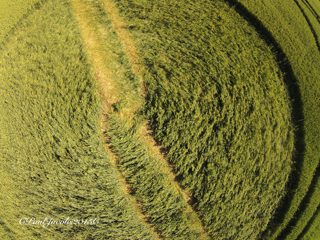 aerial of Westwoods from ccc