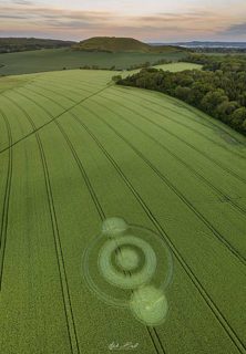 aerial of Norridge Wood