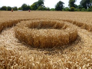 ground of Roundway Hill from ccc