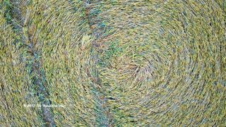 aerial of Longwood Warren