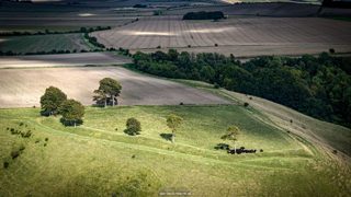 aerial of Roundway Hill from ccc