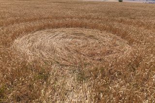 ground of Milk Hill from ccc