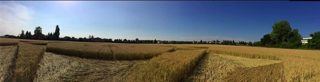 ground of Pontecurone from ccc