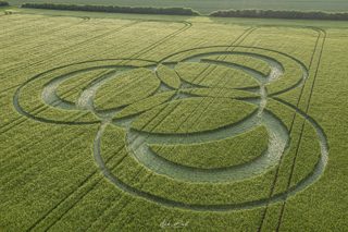 aerial of Long Wood
