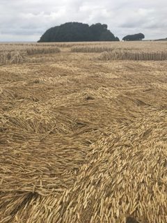 other of Hackpen Hill from ccc