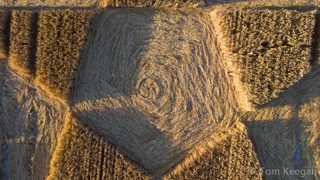 aerial of Ranscomb Bottom from ccc