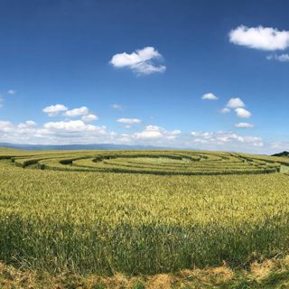 ground of Baggwilgraben from ccc