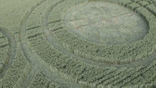 ground of Marlborough from ccc