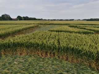 ground of Sutton Hall from ccc