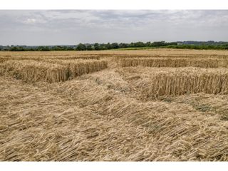 ground of Tufton from ccc