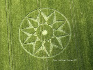 aerial of Willoughboy Hedge from ccc