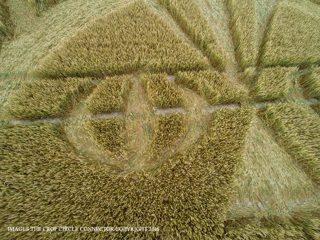 aerial of Figsbury Rings from ccc