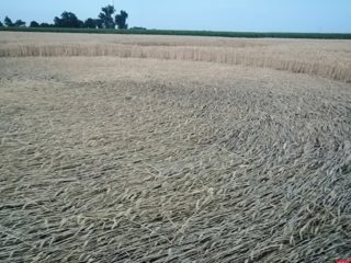 ground of Nadarzycach