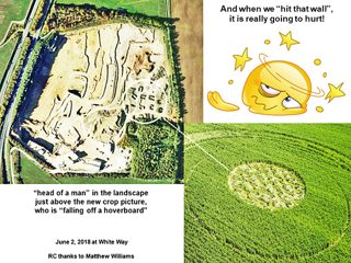 other of Bishop's Cannings Down from ccc