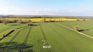 aerial of Tarlton