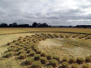 ground of Marlborough from ccc