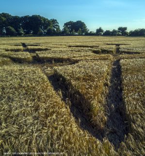ground of Badbury Rings from ccc