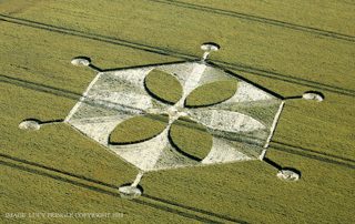 aerial of Yarnbury Castle from ccc