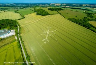 ground of Clearbury Ring from ccc
