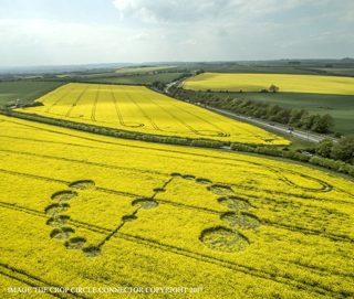 aerial of Willoughby Hedge