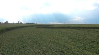 ground of Boskovic