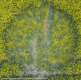 aerial of Willoughby Hedge