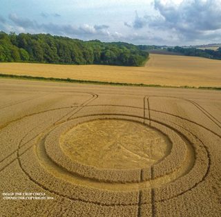 aerial of Tichbourne