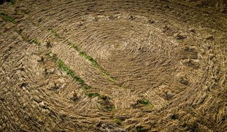 ground of Roundway Hill from ccc