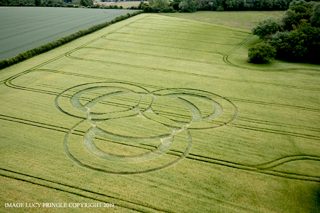 aerial of Long Wood from ccc