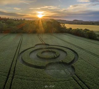 aerial of Norridge Wood