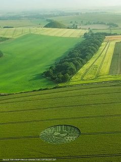aerial of West Kennett