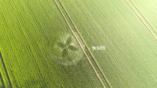 aerial of Tarlton
