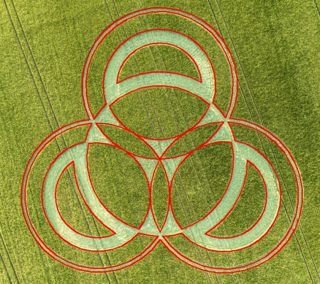 diagram of Long Wood from ccc