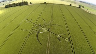 aerial of Stoford