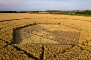ground of Barbury Castle from ccc