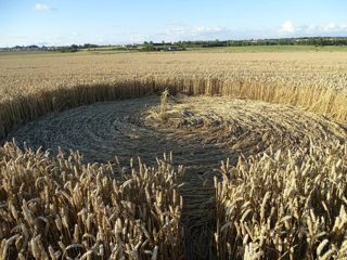 ground of Maiden Castle from ccc