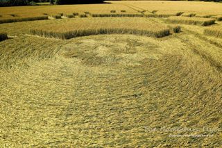 ground of Woodcote Lane from ccc