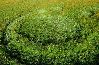 aerial of Bosschenhoofd-Zegge from ccc