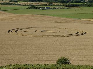 ground of Maiden Castle from ccc