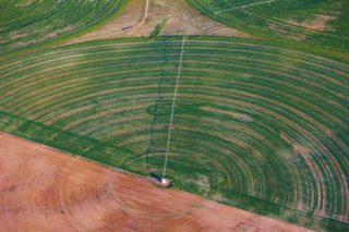 other of Clearbury Ring from ccc