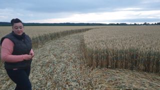 ground of Buchendorf